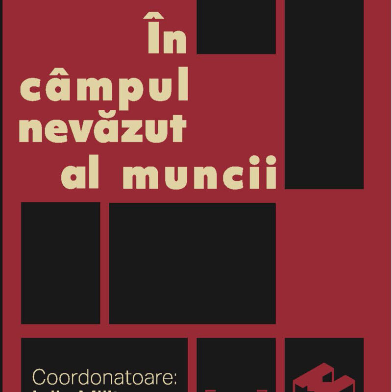 Medeea Iancu & Iulia Militaru - În câmpul nevăzut al muncii